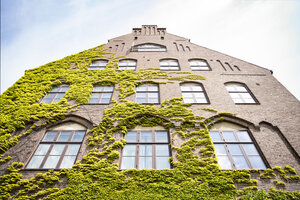 Vines climbing Lund University building called Geocentrum. Image.