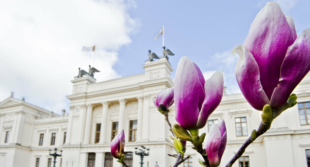 Flowers in front of Lund University.